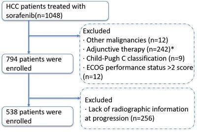 Tumor burden affects the progression pattern on the prognosis in patients treated with sorafenib